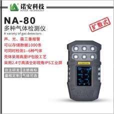 NA80-5多气体检测仪