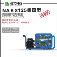 西双版纳NABX125德国型高压空气充填泵